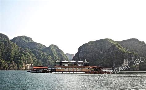 pearl farm trên vịnh hạ long.